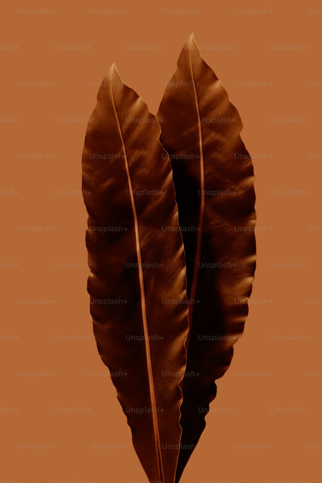 易烊千玺唱《送你一朵小红花》数度呜咽：这首歌或许只唱这一次
